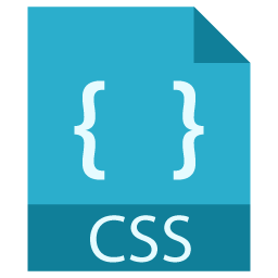 CSS Logo